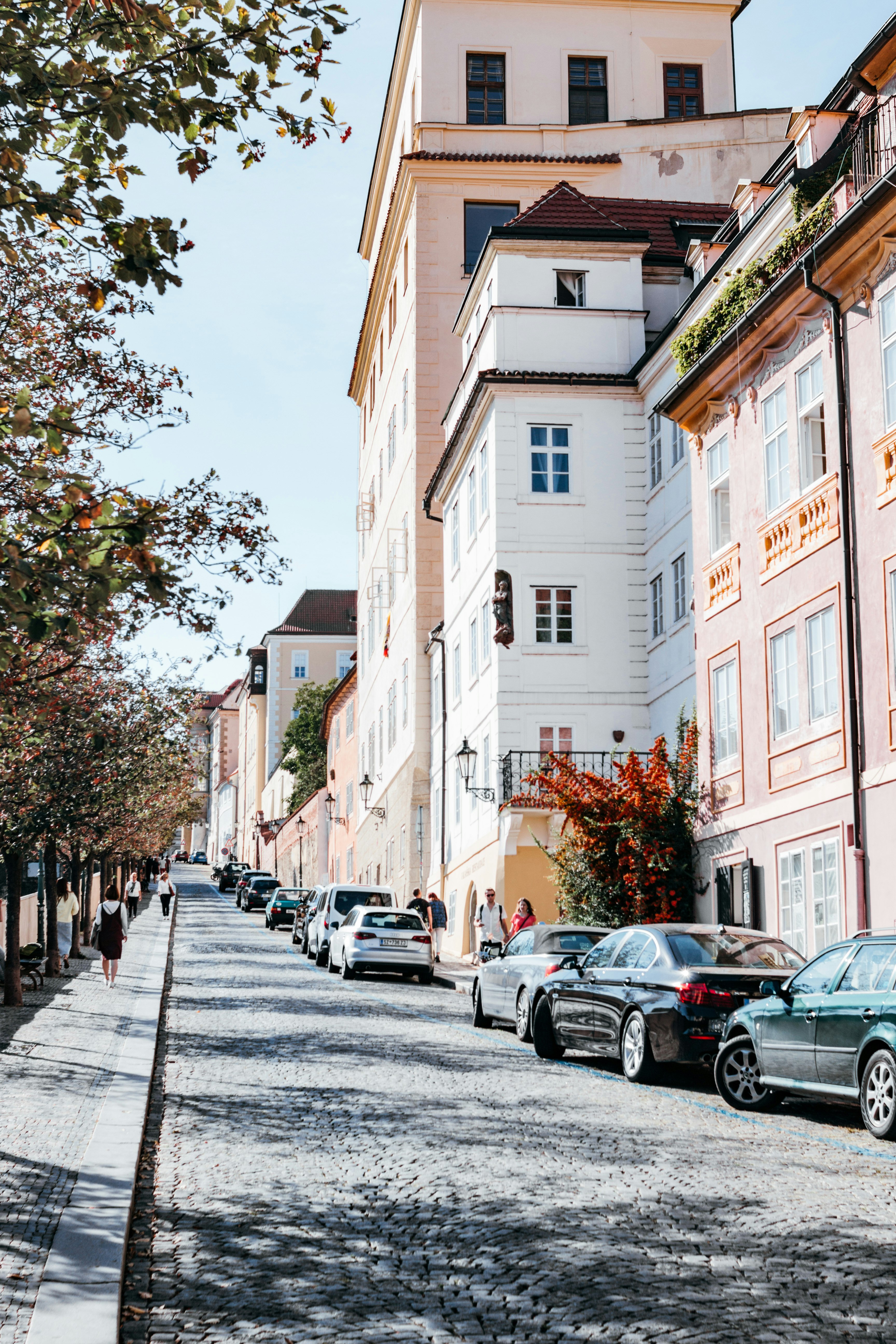 cars parked near building at daytimne